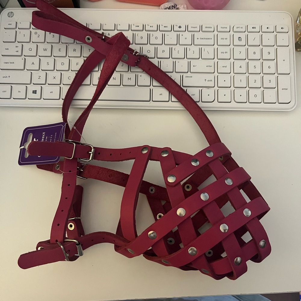 CollarDirect Leather muzzle
